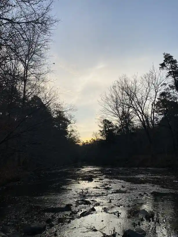 A serene, low-angle photo of a shallow, rocky stream winding through a forest at dawn or dusk, with bare-branched trees…