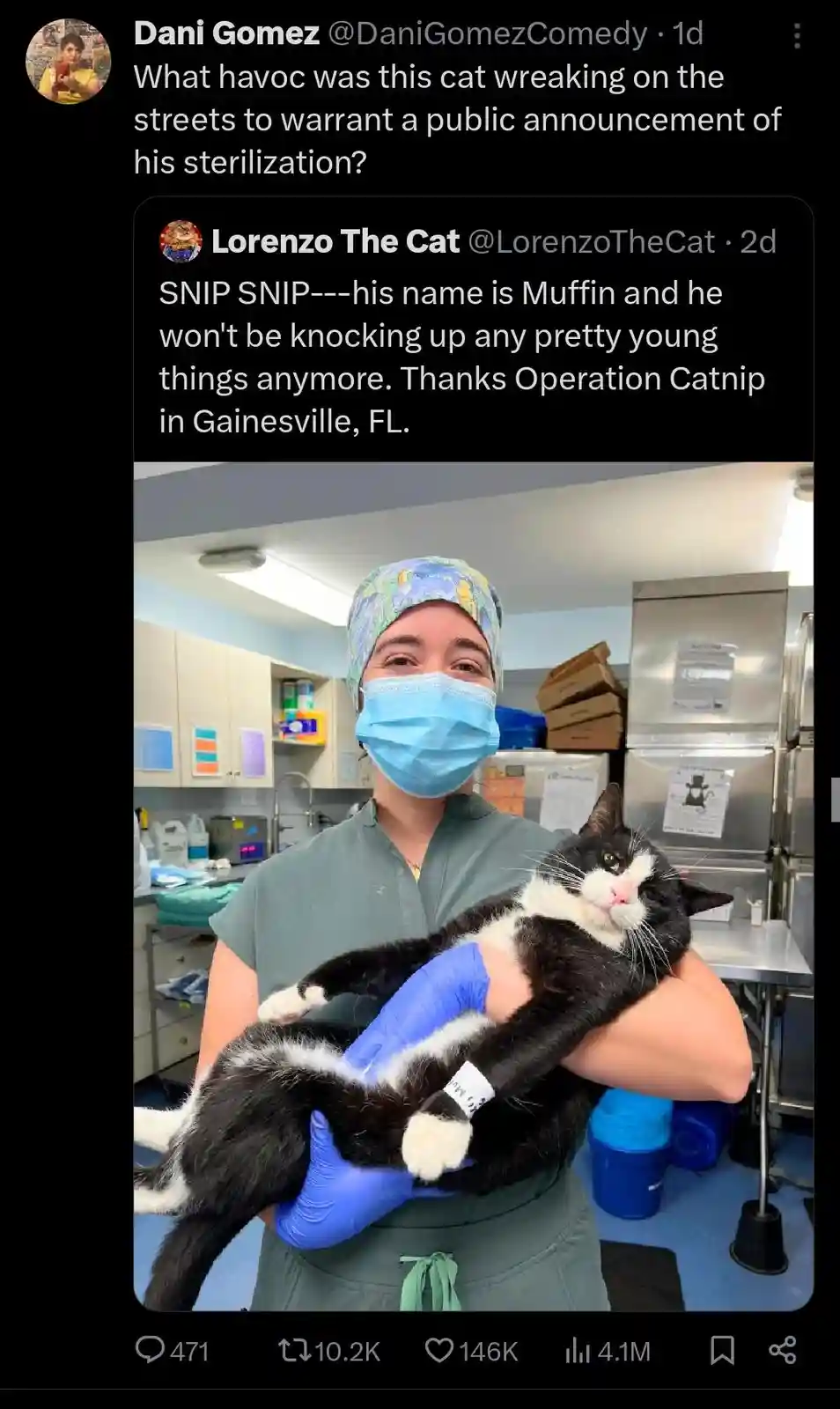 The Legendary Madlad Cat