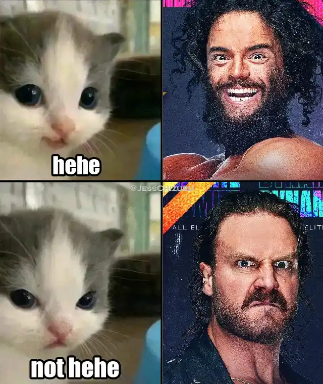 A four-panel meme featuring a kitten in two panels with text 'hehe' and 'not hehe' respectively, paired with images of…