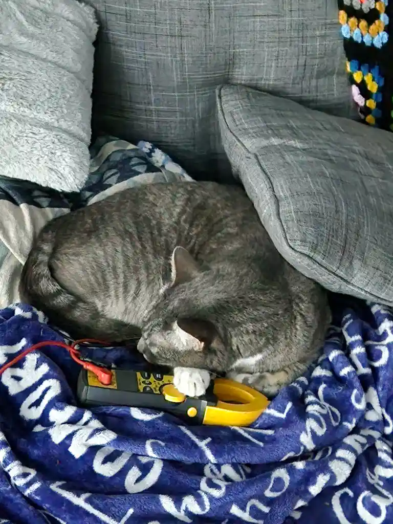 A gray tabby cat is curled up asleep on a blue blanket with white lettering, nestled between gray pillows on a couch. Its…