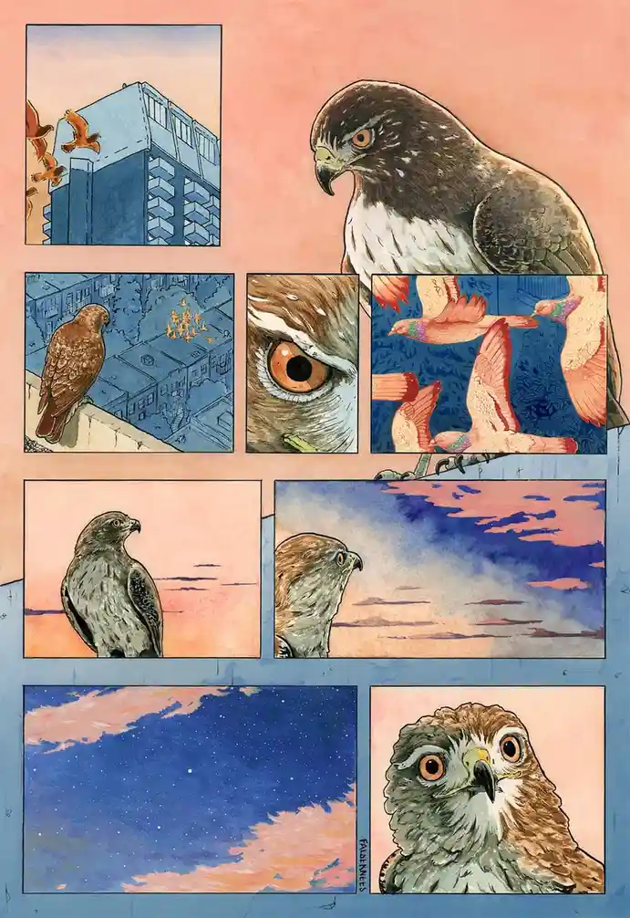 A comic strip-style illustration shows a hawk observing pigeons, then transitioning to scenes of the hawk alone against…