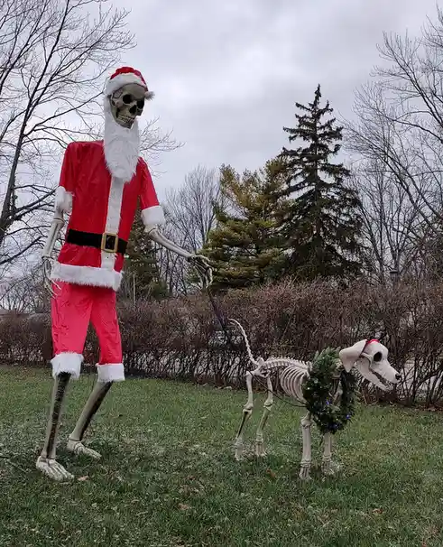 An outdoor photo shows a skeleton dressed as Santa Claus walking a skeleton dog on a leash. The dog skeleton wears a…