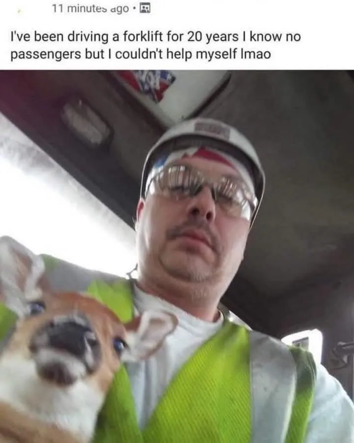 A man wearing a hard hat and safety glasses inside what appears to be a forklift cab, holding a small dog that is looking…