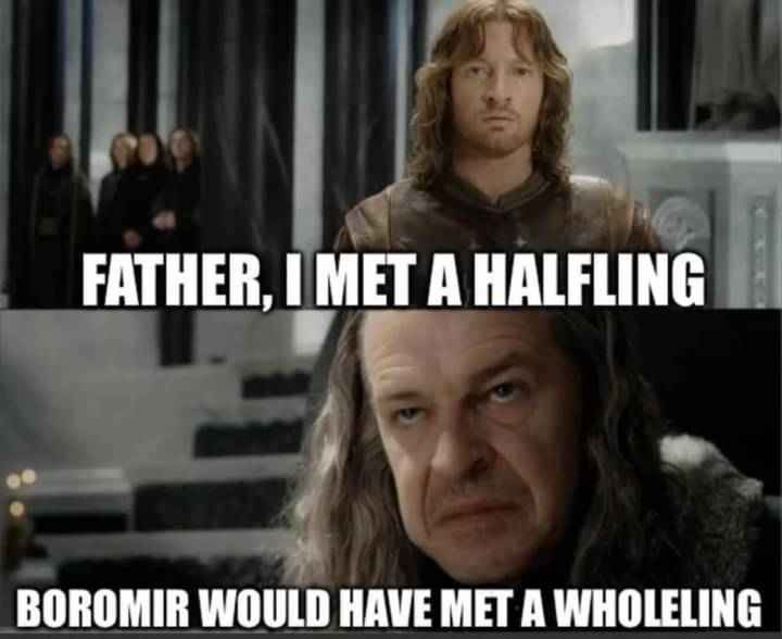 The image is a two-panel meme featuring characters from 'The Lord of the Rings'. The top panel shows a young man with long…