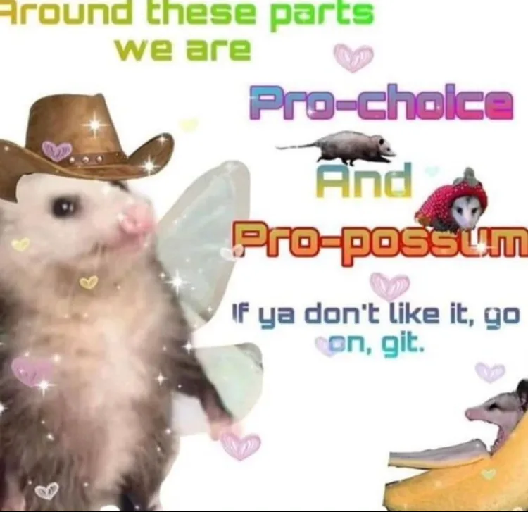 A digitally edited image features a possum wearing a cowboy hat and fairy wings, surrounded by sparkles and hearts. Text…