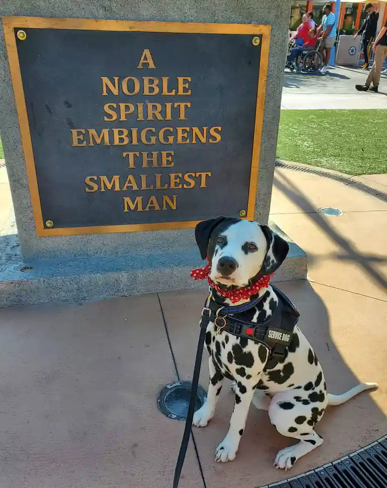 A dalmatian service dog wearing a red bandana and harness sits on a sidewalk in front of a plaque that reads 'A NOBLE SPIRIT…