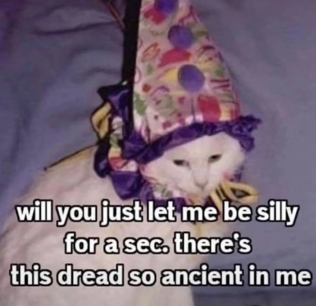 A white cat wearing a colorful, polka-dotted party hat with a purple ribbon looks down with a bored or resigned expression…