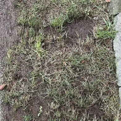 Ego Brush takes on the challenges of PNW Winter Soil!
