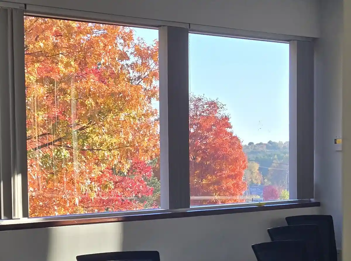 A photo of a large office window showing vibrant autumn trees with red, orange, and yellow leaves against a clear blue sky…