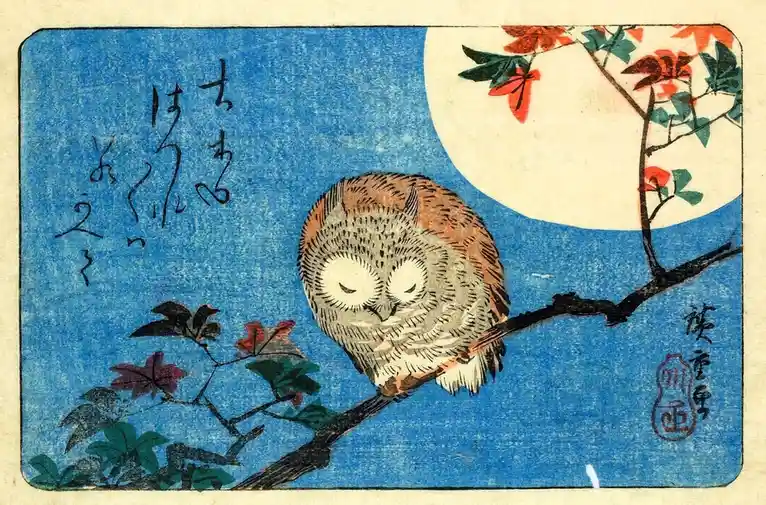 A traditional Japanese woodblock print depicts a sleepy owl perched on a branch with autumn leaves against a deep blue night…
