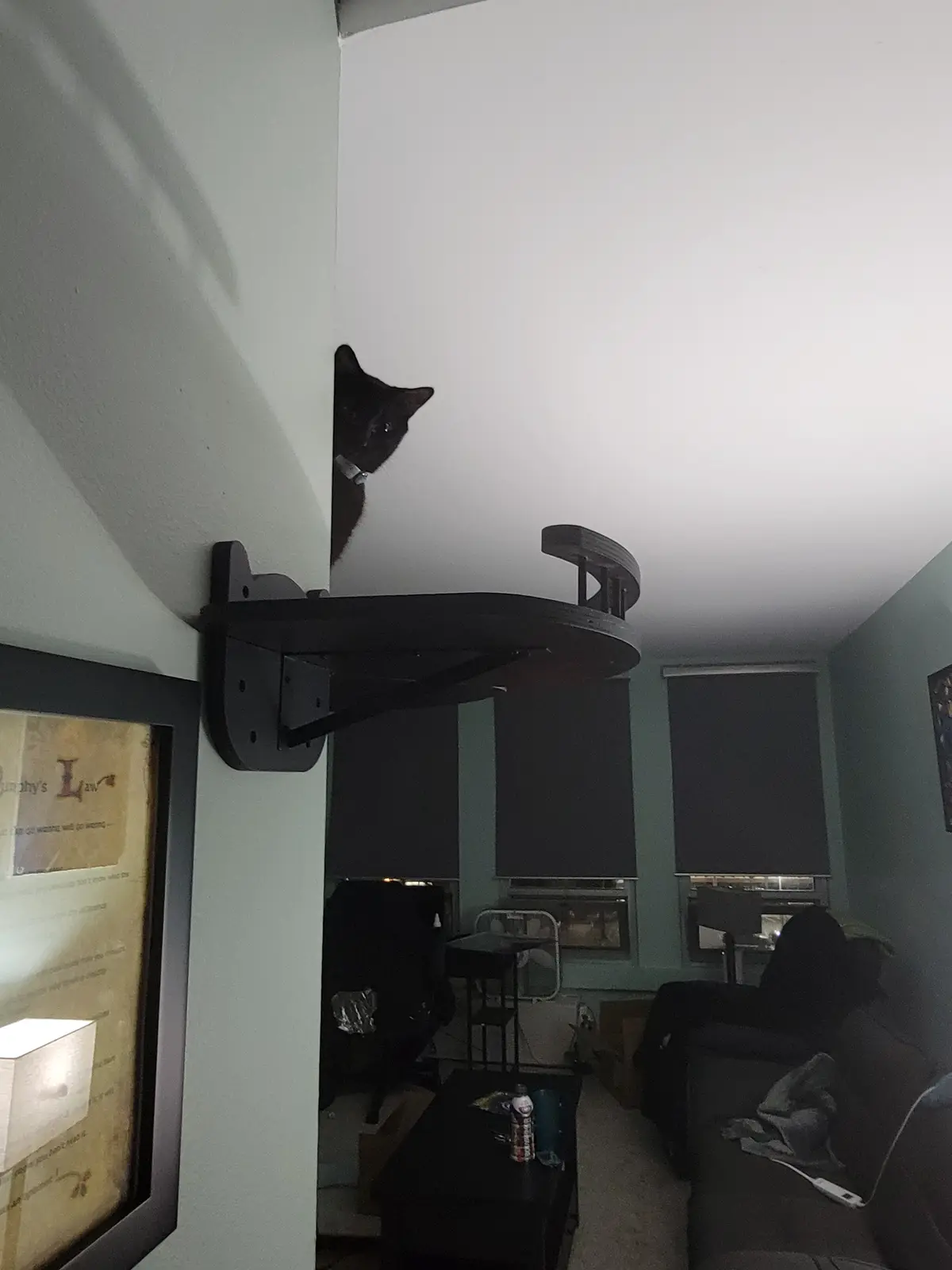 I can't shake the feeling that someone is always watching me~