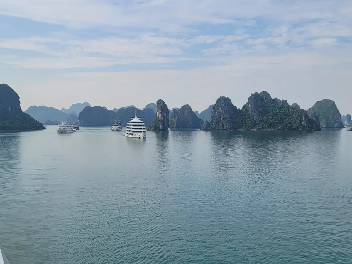 A scenic view of Halong Bay with several large white tour boats navigating calm blue waters surrounded by towering…