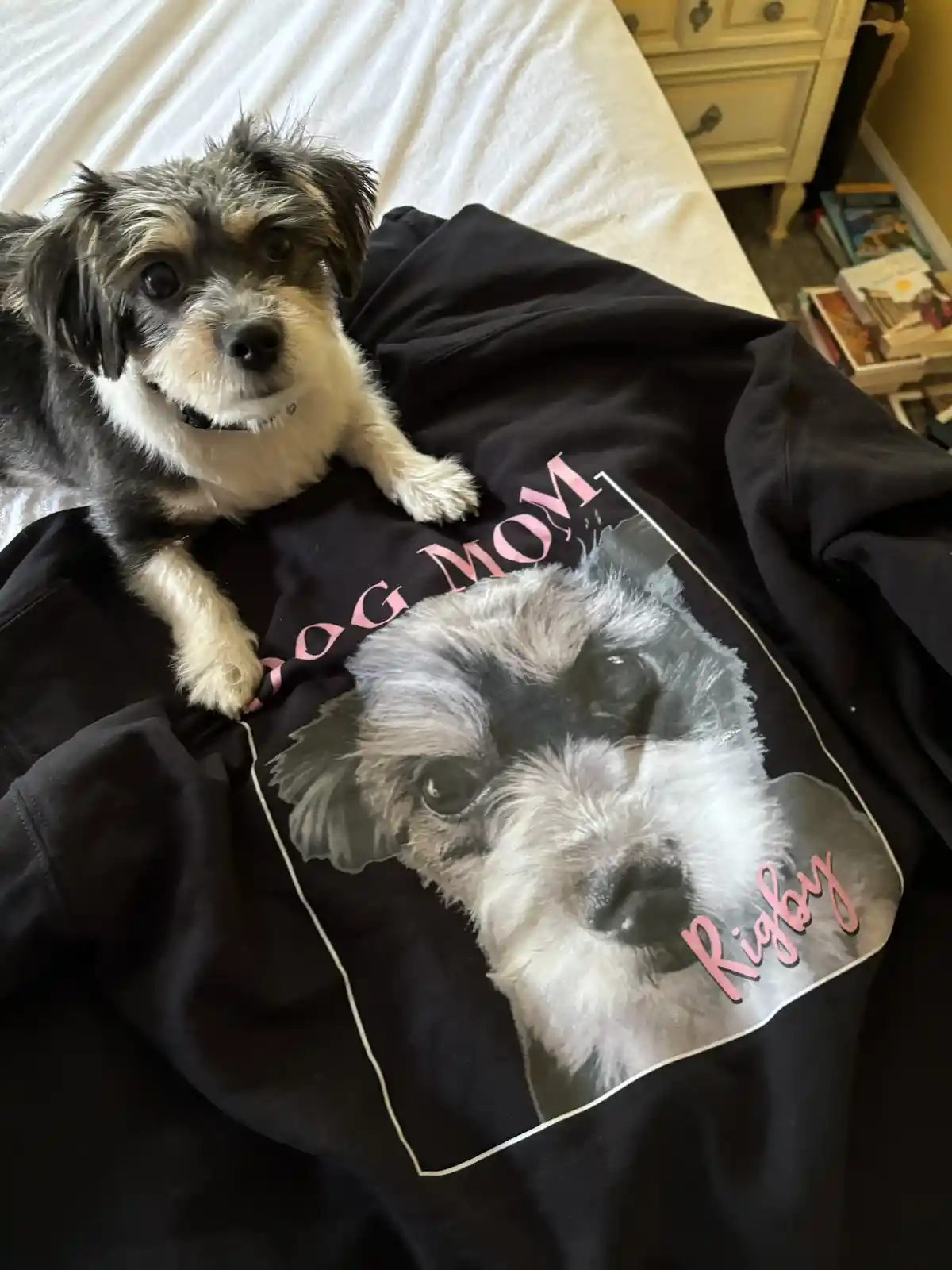 A small, fluffy black-and-white dog with a happy expression is lying on a black t-shirt that features a printed photo of the…