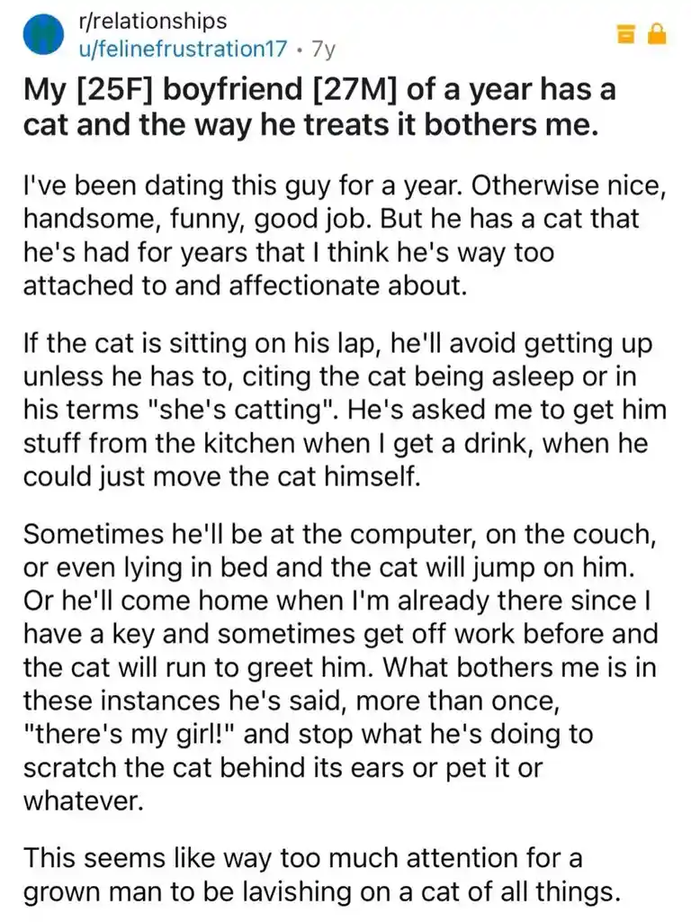 The image displays a Reddit post from the subreddit r/relationships by user u/felinefrustration17, posted 7 years ago. The…