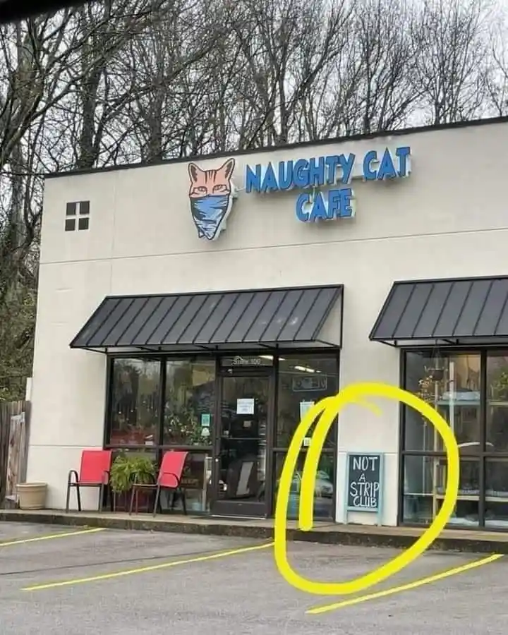 An exterior photo of a building labeled 'NAUGHTY CAT CAFE' with a cartoon cat wearing a face mask above the name. A large…