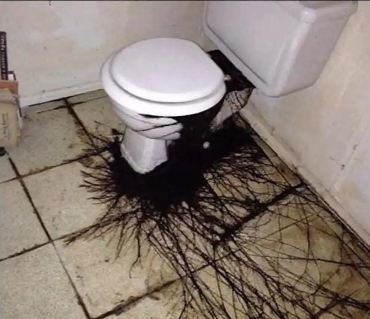 The Infamous Cursed Toilet