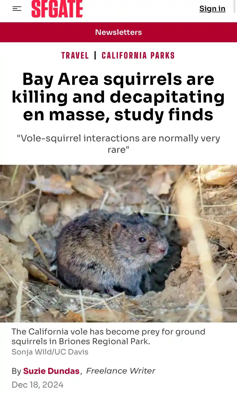 A screenshot of an SFGATE news article titled 'Bay Area squirrels are killing and decapitating en masse, study finds'…