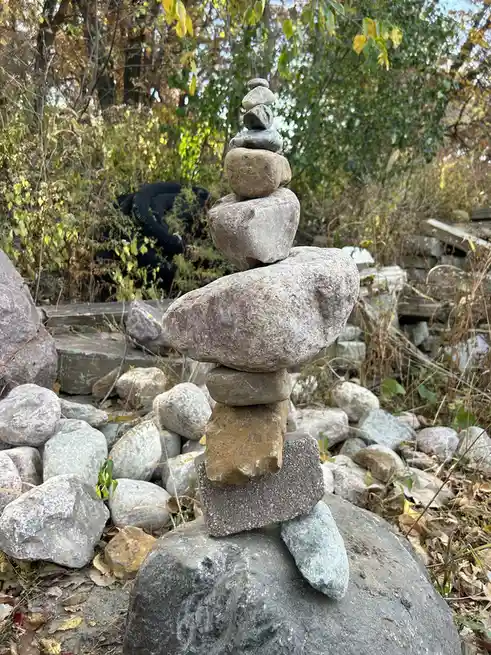 A precarious tower of various-sized rocks is stacked outdoors in a natural, slightly overgrown area with trees and fallen…