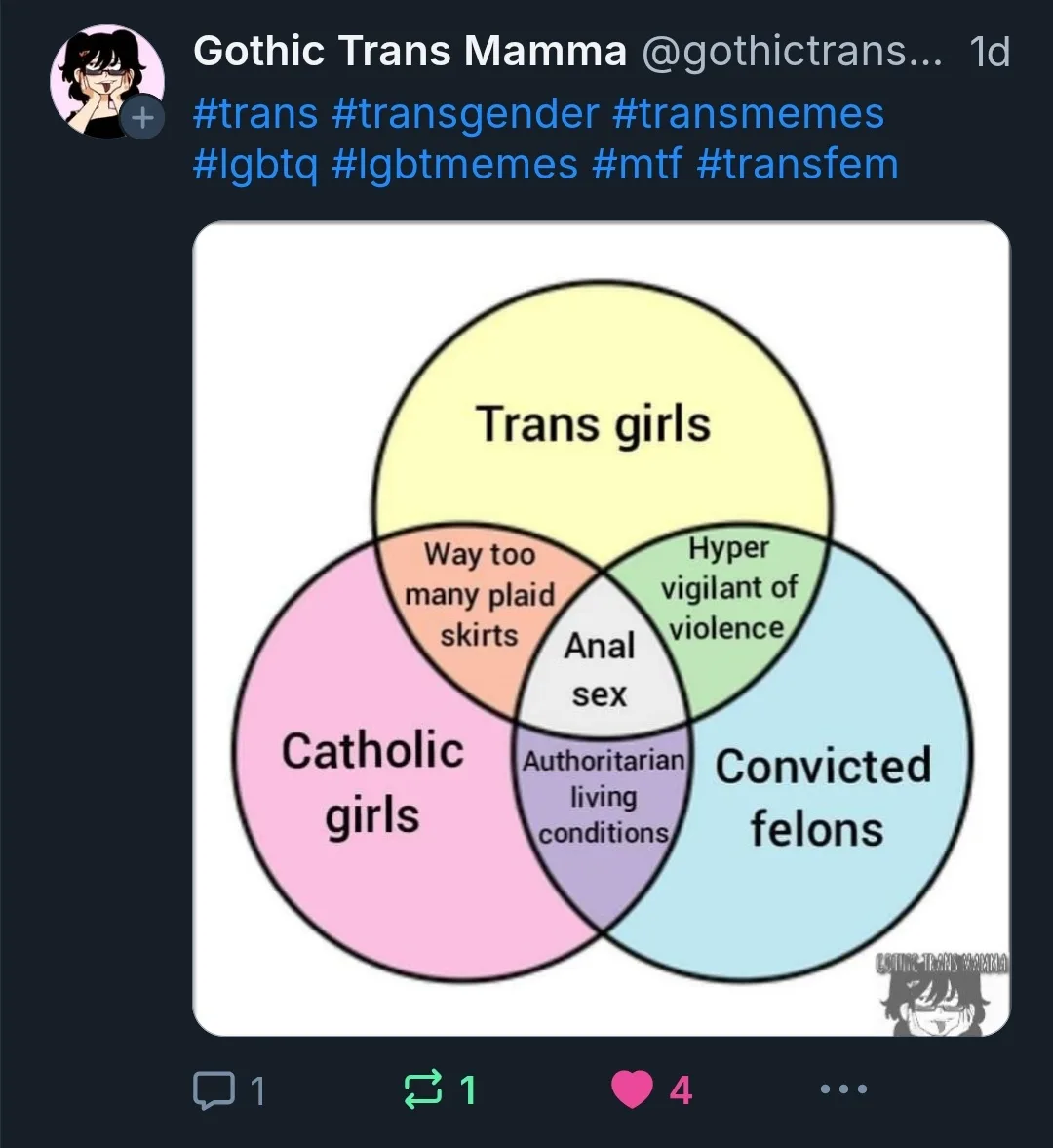A Venn diagram with three overlapping circles labeled 'Trans girls,' 'Catholic girls,' and 'Convicted felons.' The…