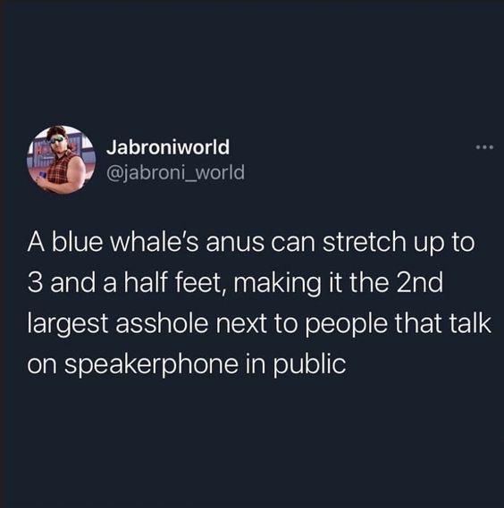 You keep throwing around that word 'Jabroni' and...