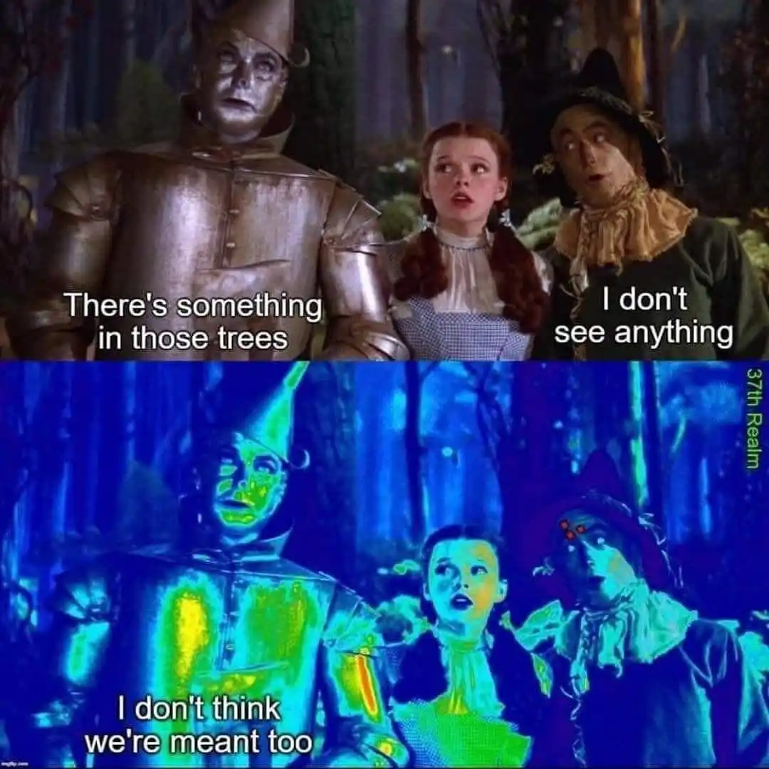 The image is a two-panel meme featuring characters from 'The Wizard of Oz'. In the top panel, the Tin Man, Dorothy, and the…