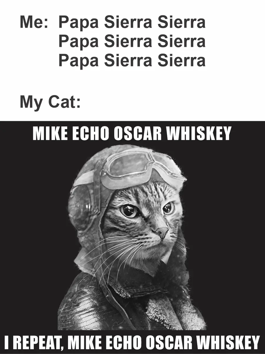A black and white image shows a cat wearing a pilot's helmet and goggles, looking serious. The text above reads 'Me: Papa…