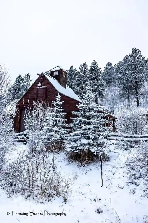 A snow-covered wooden cabin nestled in a winter forest with snow-laden pine trees and bare shrubs. The overlaid text reads…