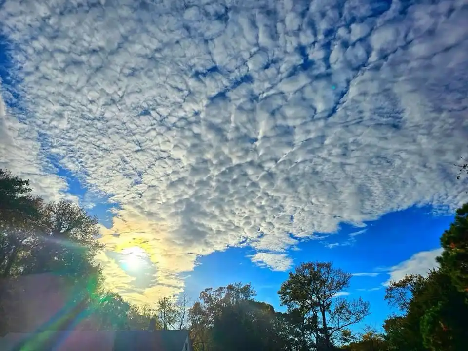 A low-angle photo shows a vibrant blue sky filled with dense, textured, puffy white clouds resembling a blanket or foam…