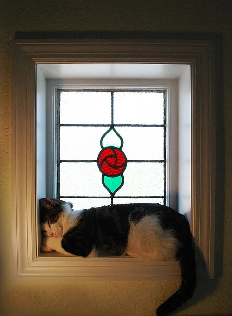 A black and white cat is sleeping soundly on a windowsill beneath a stained glass window featuring a red and green rose…