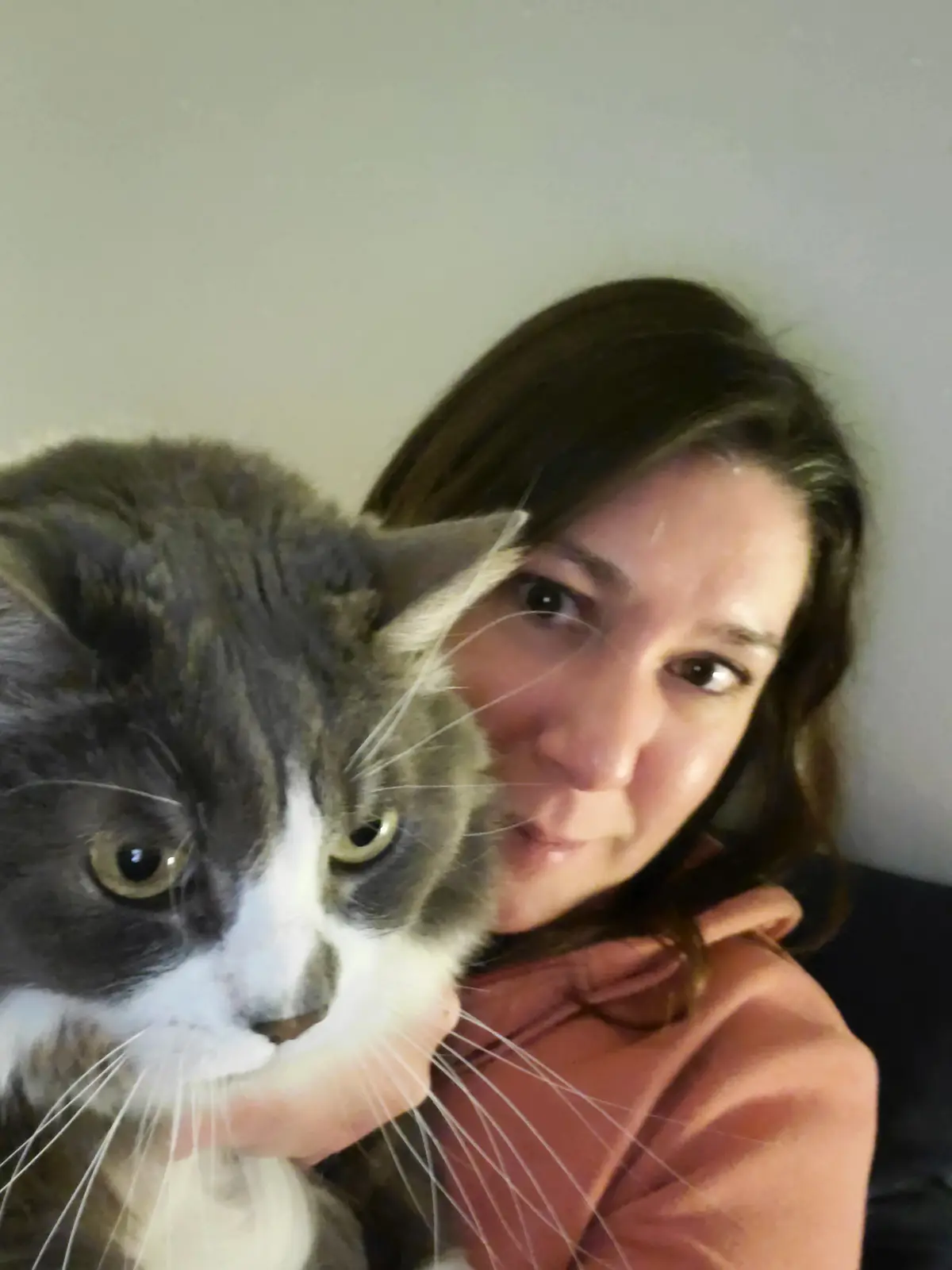 A person with dark hair wearing a pink hoodie holds a gray and white cat close to their face. The cat has a grumpy…