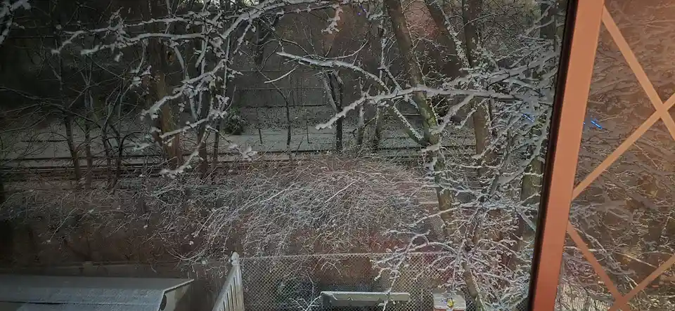 A snowy winter scene viewed through a window with a screen, showing snow-covered bare trees and a fence. The overlaid text…