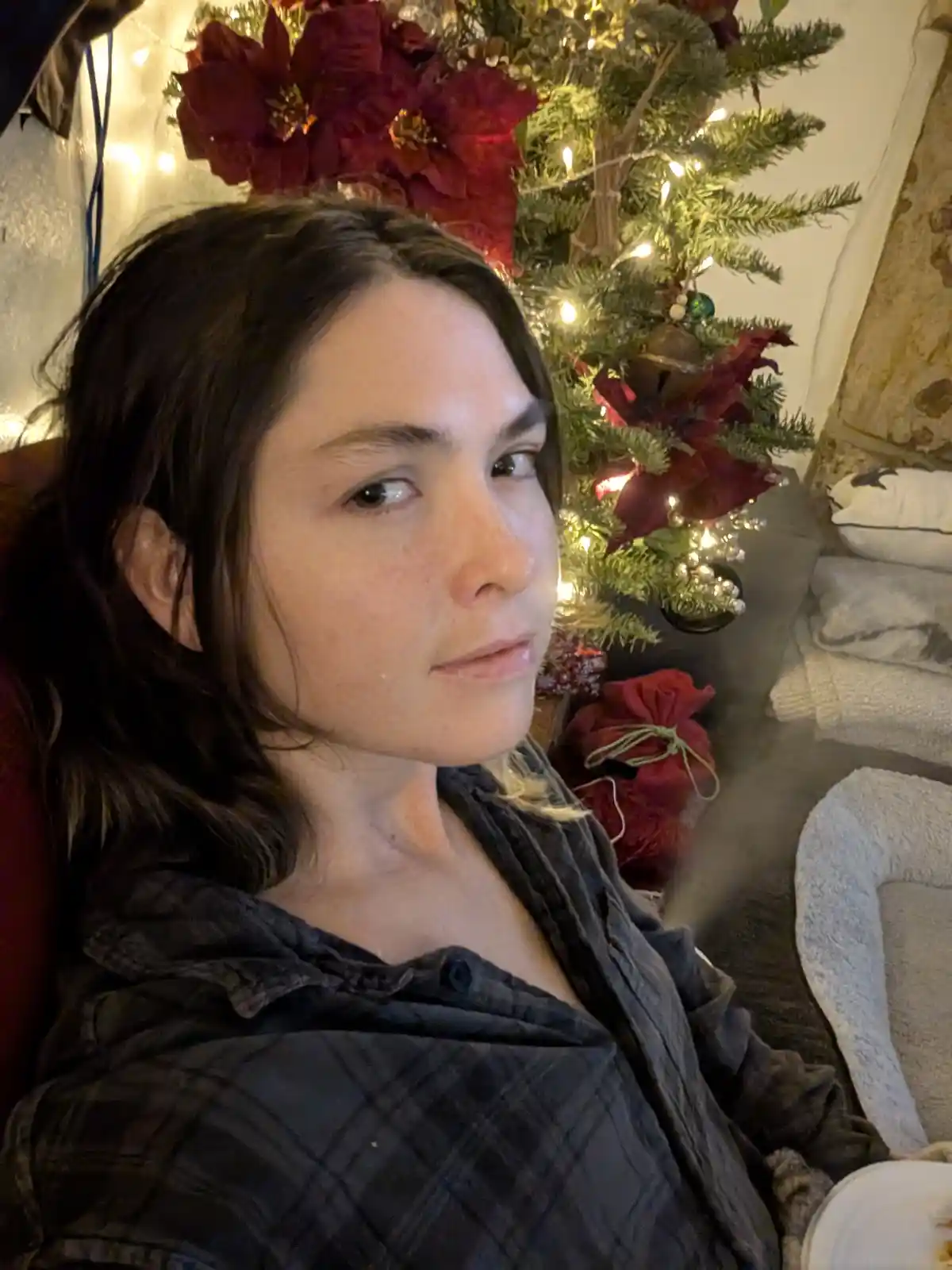 A person with dark hair and a plaid shirt sits in front of a decorated christmas tree with red poinsettias and string…