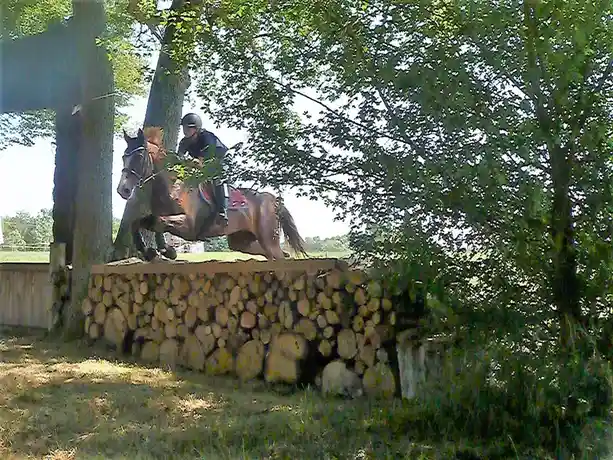 A rider on a brown horse is captured mid-air, clearing a jump made of stacked logs in an outdoor equestrian setting. The…