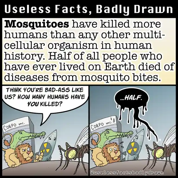 A two-panel comic titled 'Useless Facts, Badly Drawn' shows cartoon mosquitoes boasting about killing half of all humans…