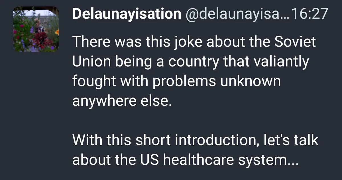A screenshot of a social media post by 'Delaunayisation' showing a dark background with white text. The text reads: 'There…