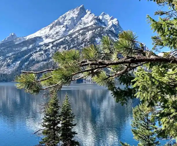 Breathtaking Views of Grand Teton: Nature's Masterpiece