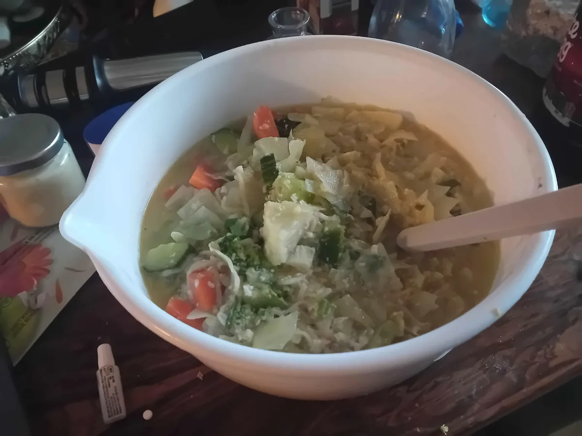 A white ceramic bowl filled with a murky, chunky liquid containing visible pieces of cabbage, carrots, and noodles sits on a…