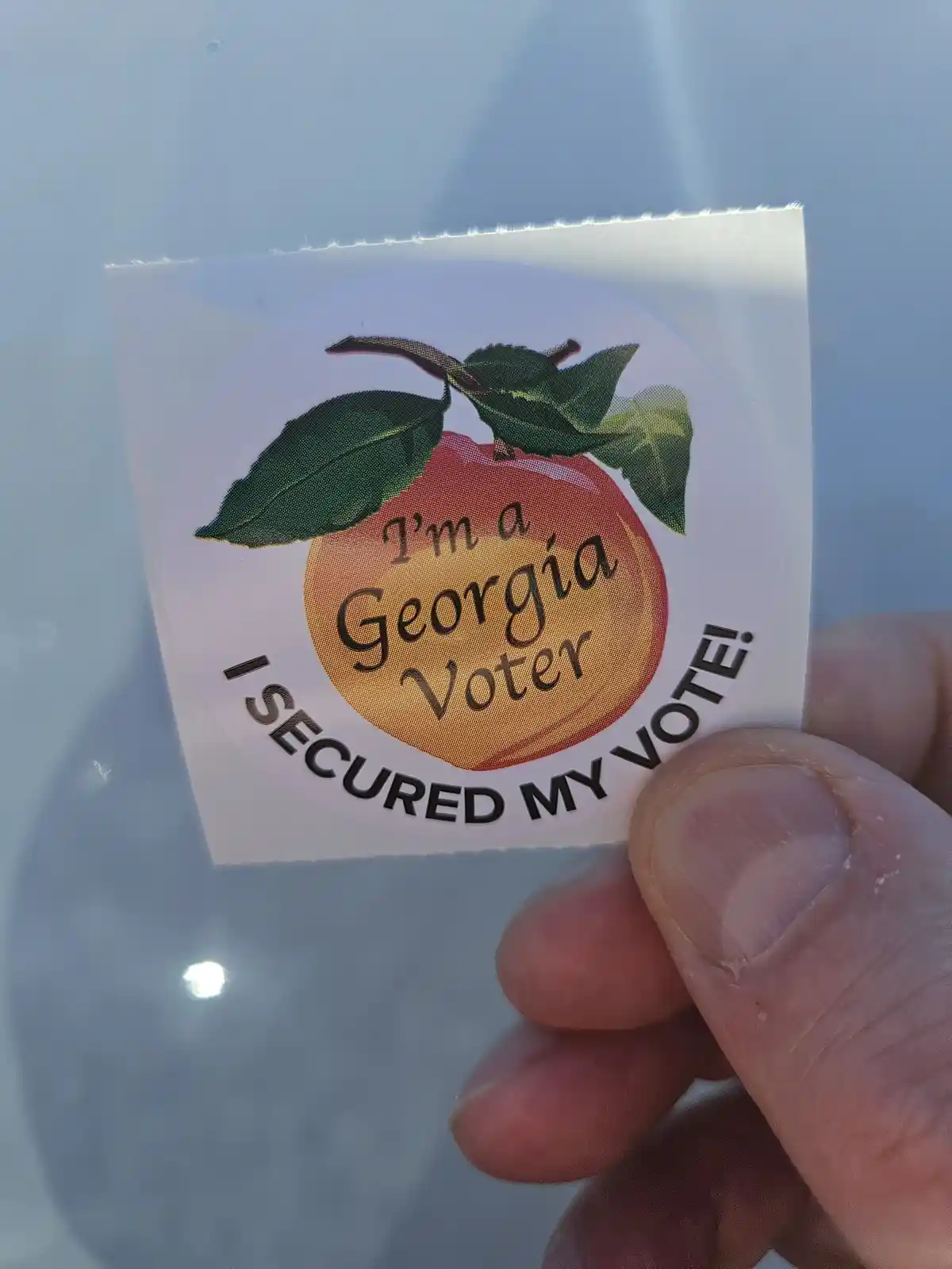I Made My Voice Heard Today: I Voted!