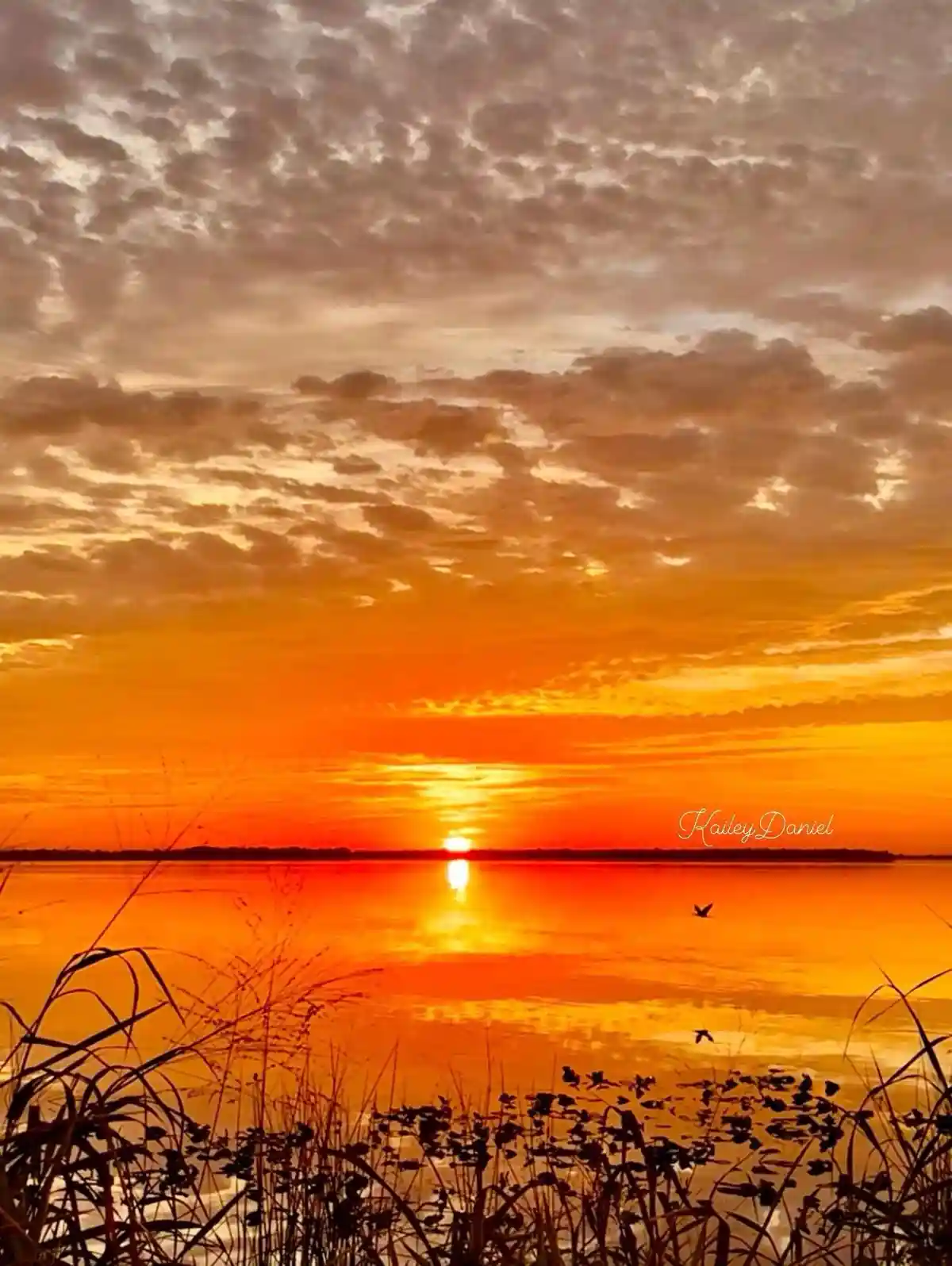 A serene sunset over a calm body of water, with the sun low on the horizon casting vibrant orange and red hues across the…