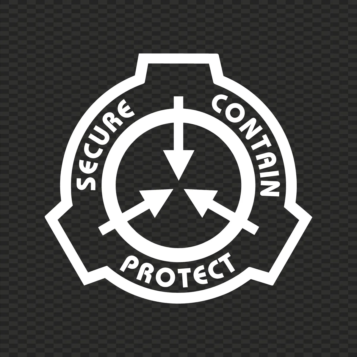 SCP-1198: The Mysterious Endless Echo