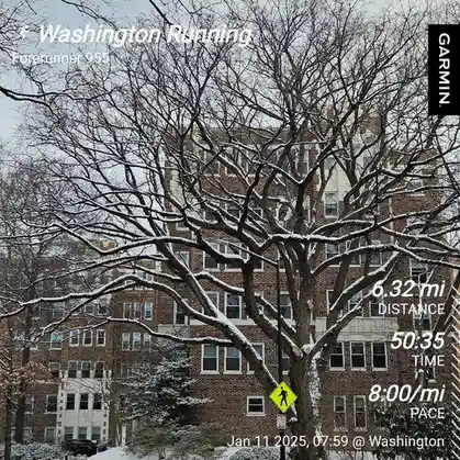 A snowy winter scene featuring a large, bare-branched tree in front of a brick building, overlaid with a Garmin Forerunner…