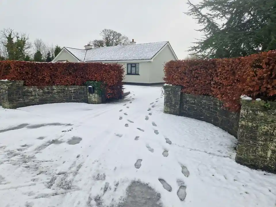 A snowy driveway leads to a white house, flanked by tall red-leafed hedges and stone walls. A clear path of footprints cuts…