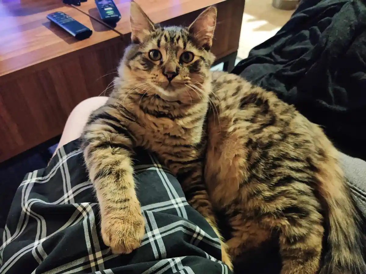 Feeling Like Just Another Piece of Furniture