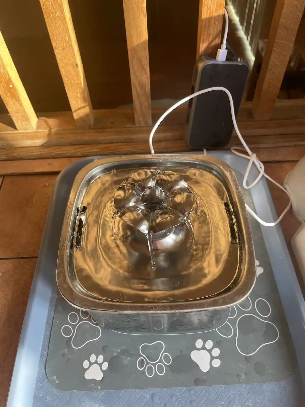 A stainless steel pet water fountain sits on a grey paw-print mat, with water flowing from a central spout into the basin. A…