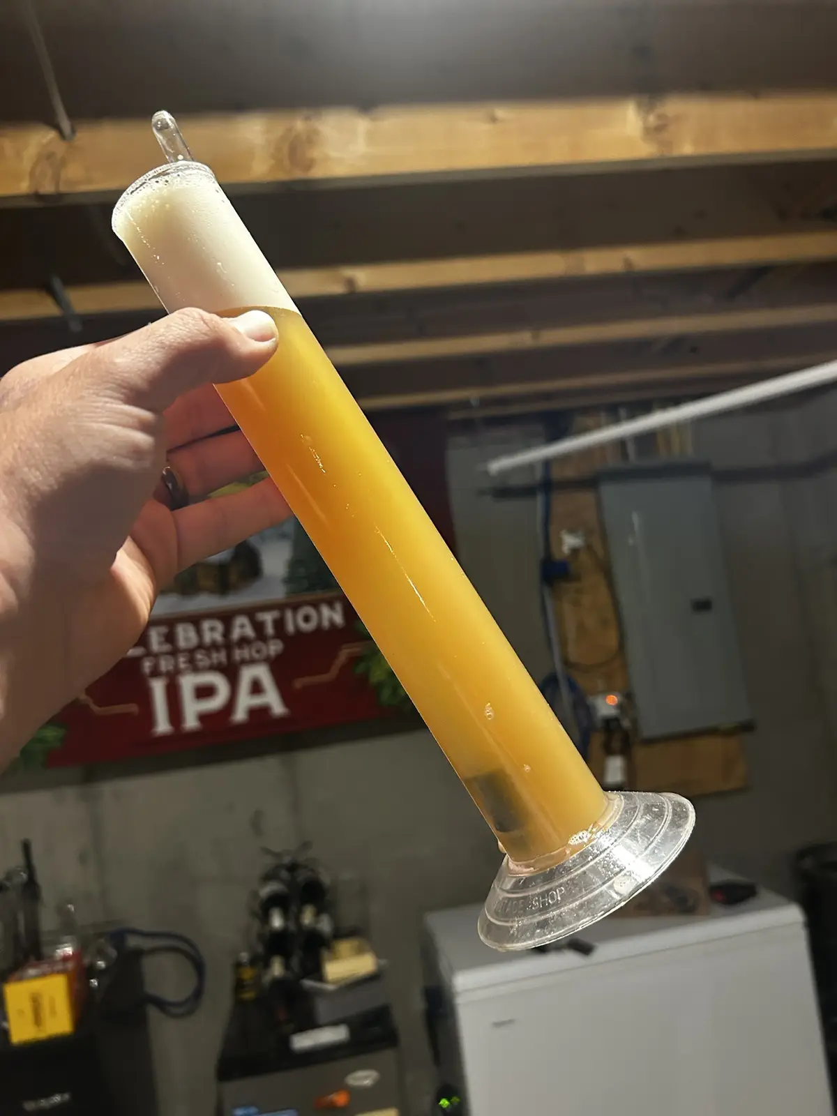 A hand holds a tall, clear glass test tube filled with golden beer and a thick white head, resembling a scientific sample…
