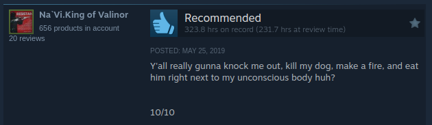 A Steam store page screenshot for a user named 'Na'Vi.King of Valinor' showing a 'Recommended' product with 323.8 hours…