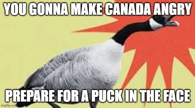A digitally altered image of a Canada goose with a stern, angry expression, set against a stylized red sunburst on a pale…