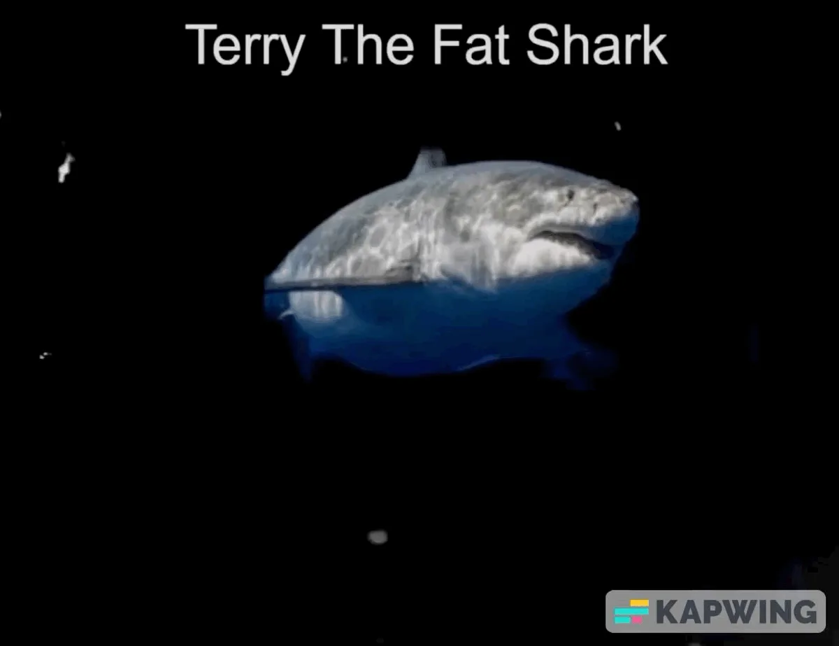 Terry's Midweek Surprise: A Special Wednesday Gift!