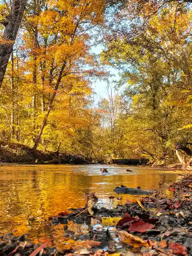 The Beauty of Autumn Colors
