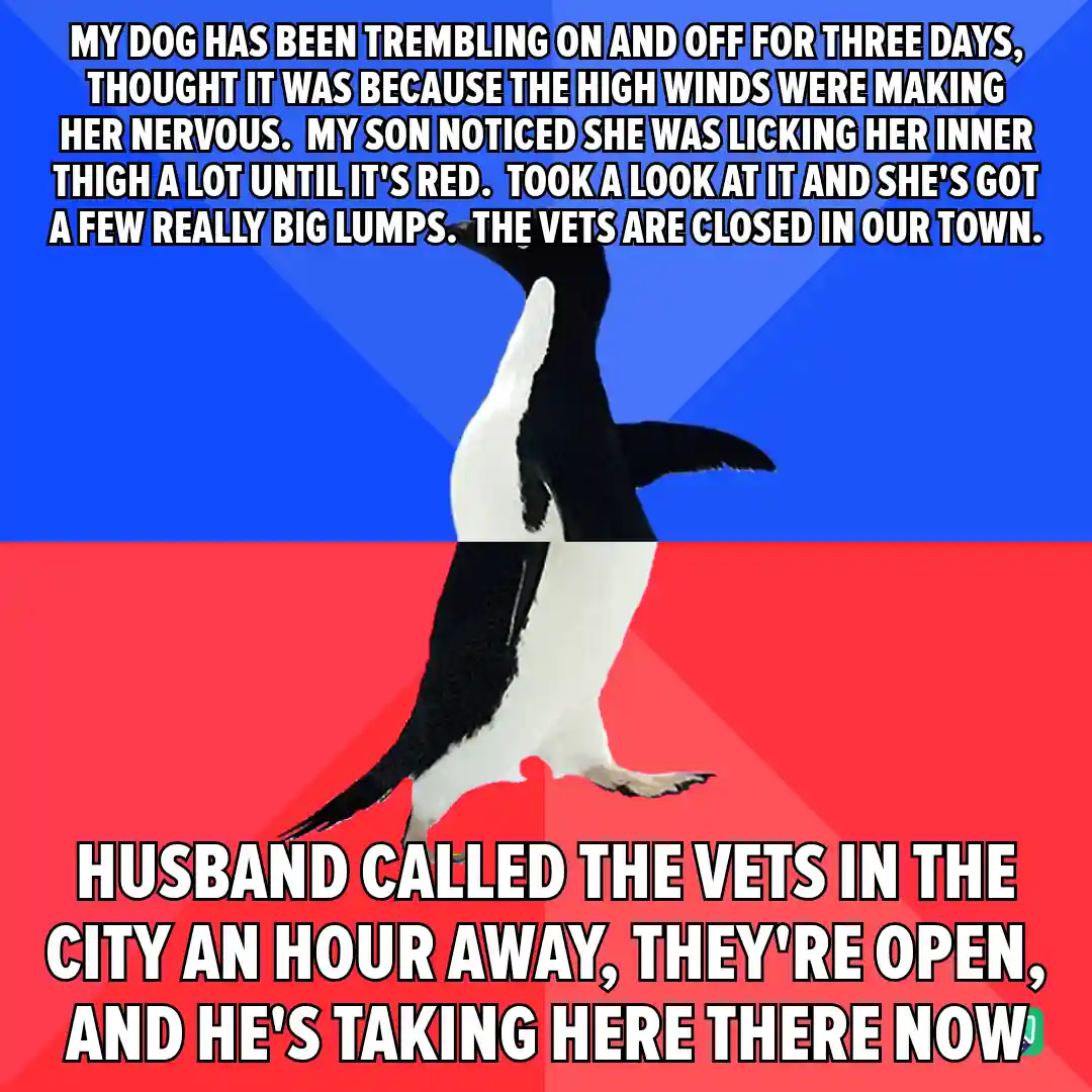 A penguin stands centered against a blue and red background, with white text overlaid in two sections. The top text…
